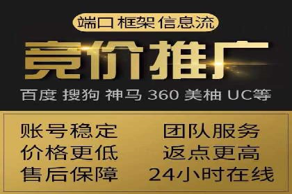 专业SEM服务托管方案案例分析